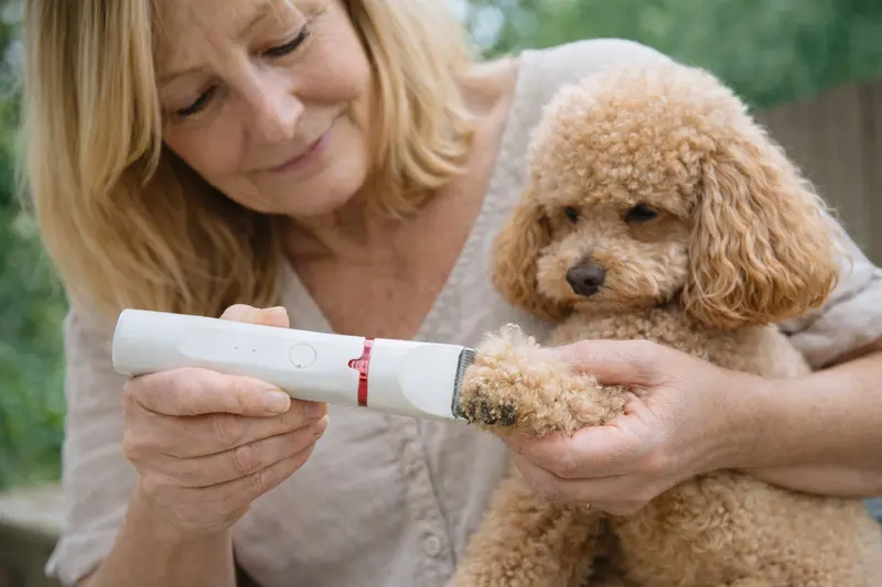 4-in-1 Pet Grooming Kit