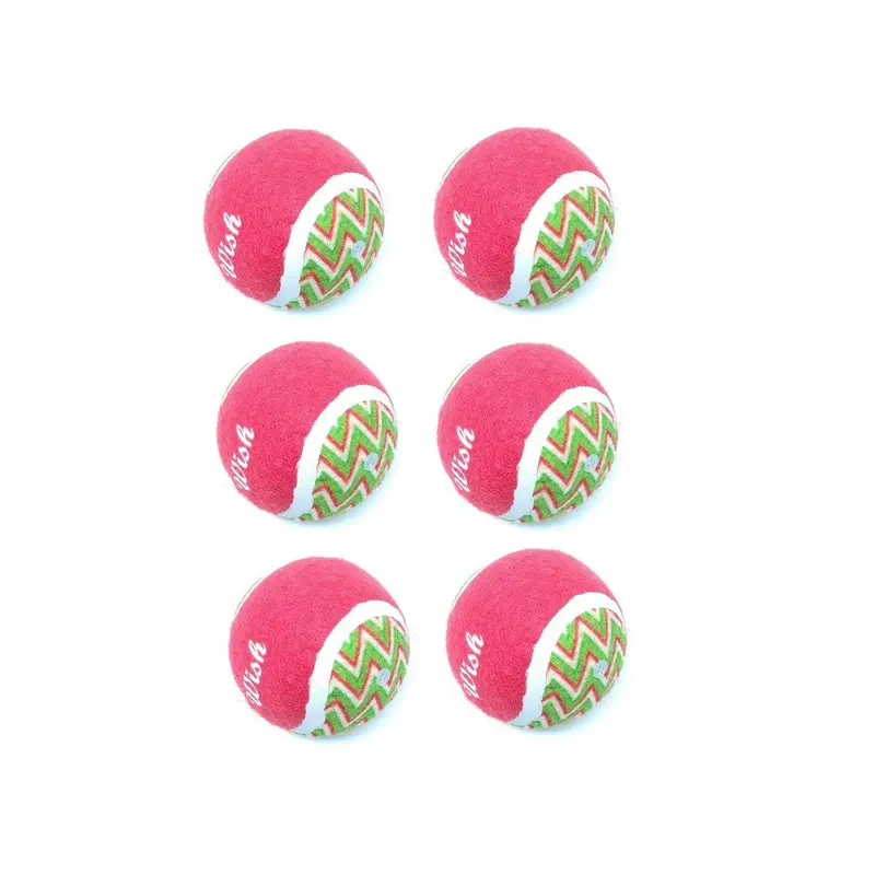 6 palle Tennis gioco cane