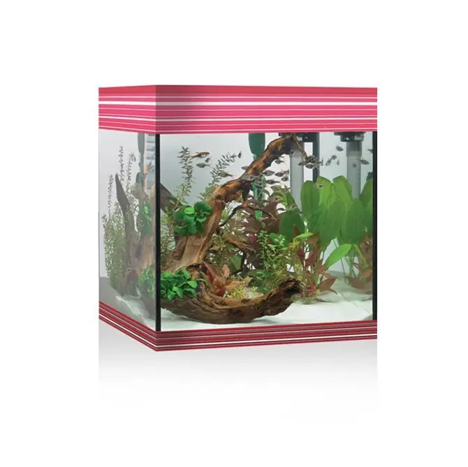 ACQUARIO A LED ASKOLL PURE AQUARIUM KIT M ROSSO