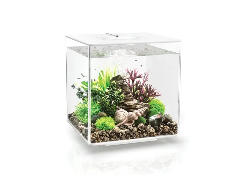 ACQUARIO A LED BIORB CUBE 30 LITRI BIANCO