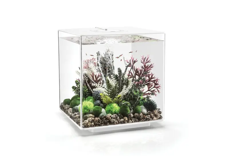 ACQUARIO A LED MCR BIORB CUBE 60 LITRI BIANCO