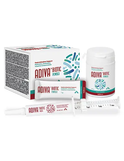 🐾 ADIVA® Biotic Powder – Equilibrio digestivo para perros y gatos