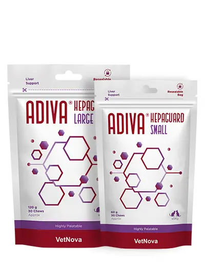 🐾 ADIVA® Hepaguard Chews – Soporte hepático avanzado en formato masticable