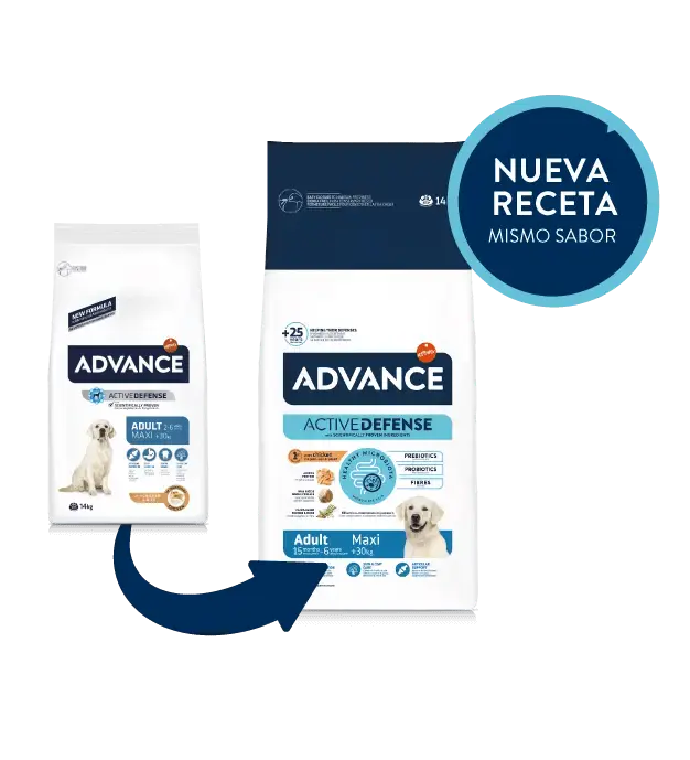 ADVANCE Adult Maxi | Pienso Advance para perros adultos razas grandes 14 kg