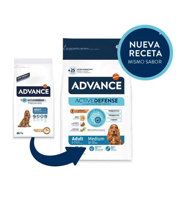 ADVANCE Adult Medium | Pienso Advance para perros adultos razas medianas