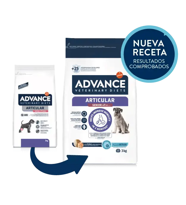 🐶 ADVANCE Articular Senior +7 años | Pienso especializado para perros mayores con problemas articulares