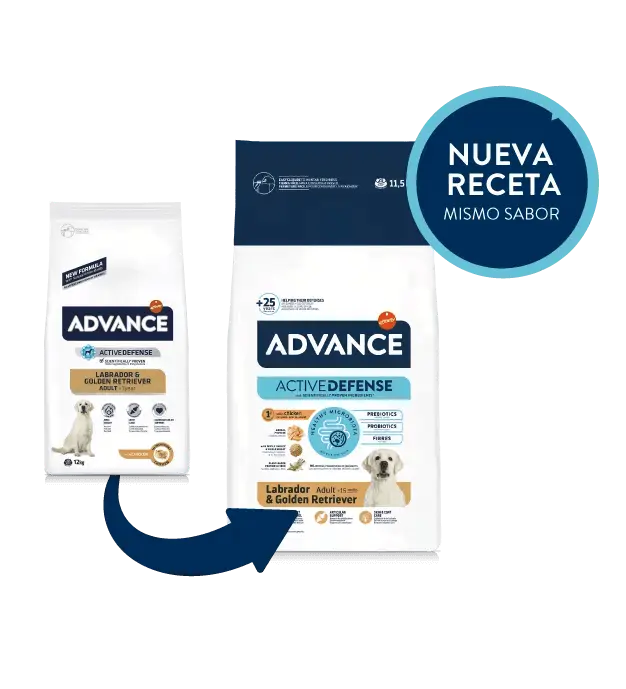 ADVANCE Labrador & Golden Retriever | Pienso para perros 11.5 kg