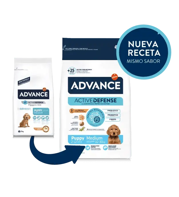 ADVANCE Puppy Medium | Pienso para cachorros de razas medianas