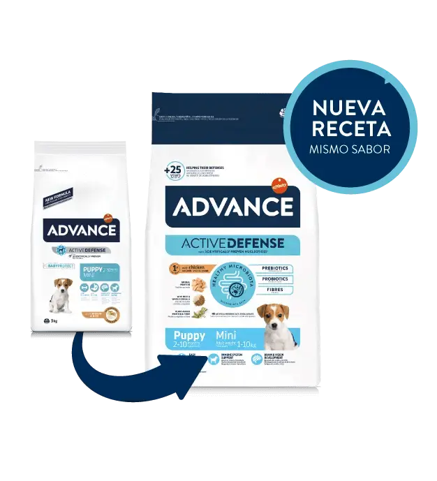 ADVANCE Puppy Mini | Pienso para cachorros razas pequeñas