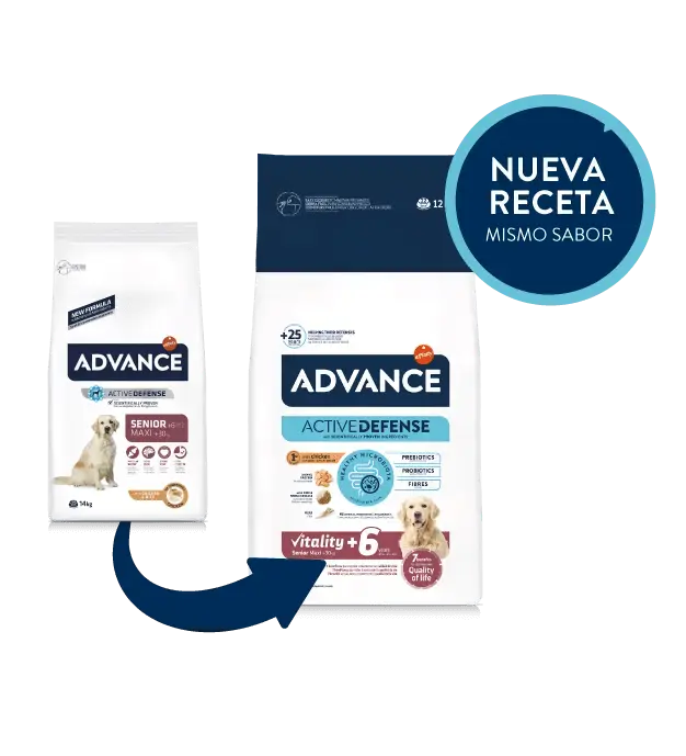 ADVANCE Senior Maxi | Pienso para perros adultos mayores razas grandes