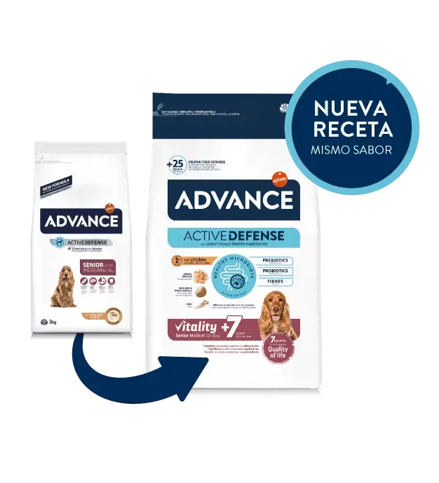 ADVANCE Senior Medium | Pienso para perros adultos mayores razas medianas