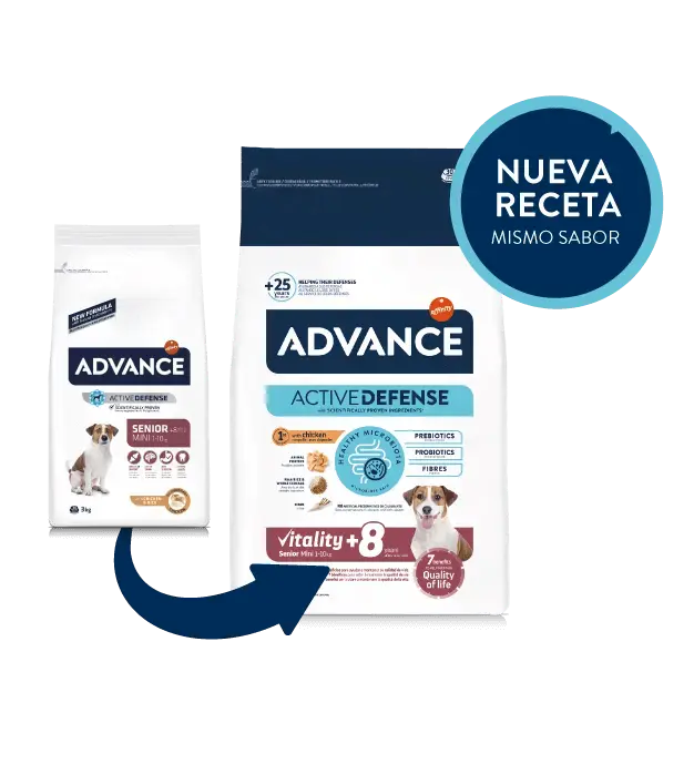 ADVANCE Senior Mini | Pienso para perros adultos mayores razas pequeñas