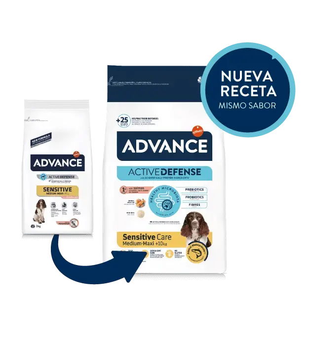 ADVANCE Sensitive Medium/Maxi | Pienso con salmón para perros razas medianas/grandes