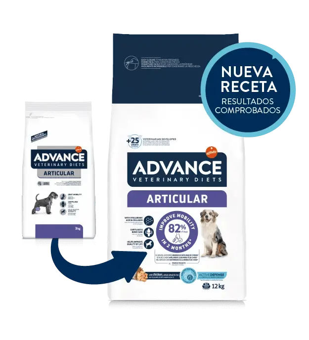 🐾 ADVANCE Vet Articular | Pienso para perros con problemas articulares