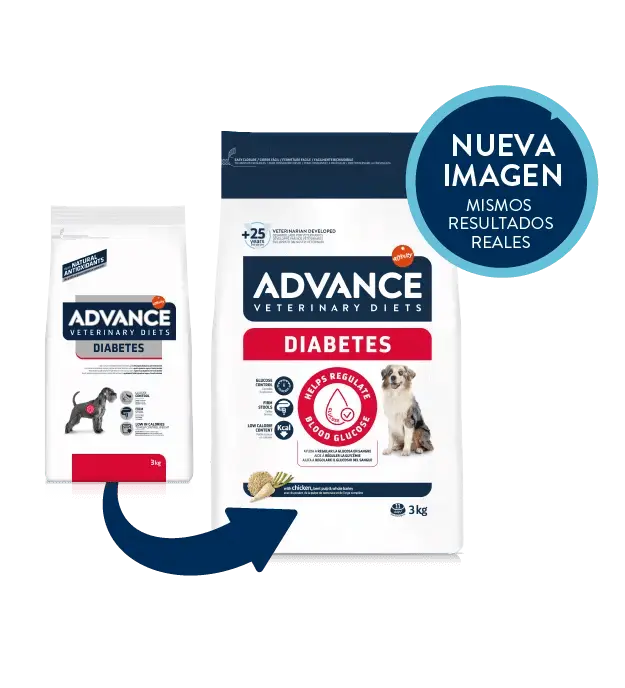 🐾 ADVANCE Vet Diabetes Colitis | Pienso para perros con diabetes y trastornos digestivos