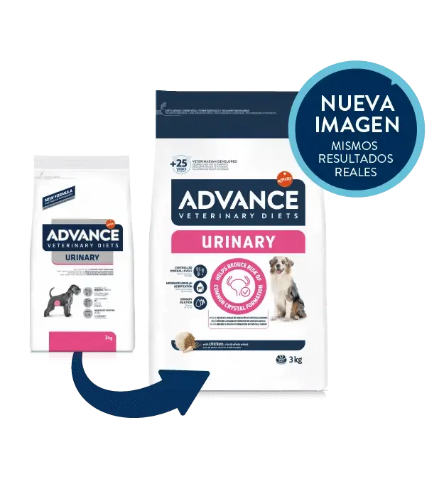 ADVANCE Vet Urinary | Pienso para perros con cálculos urinarios | Envío gratis en Gran Canaria
