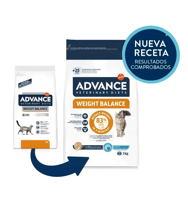 🐱 ADVANCE Vet Weight Balance para gatos adultos | Control de peso y salud digestiva
