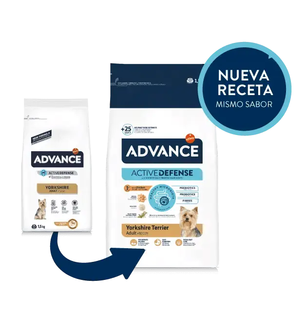 ADVANCE Yorkshire Terrier | Pienso para perros Yorkshire Terrier adultos