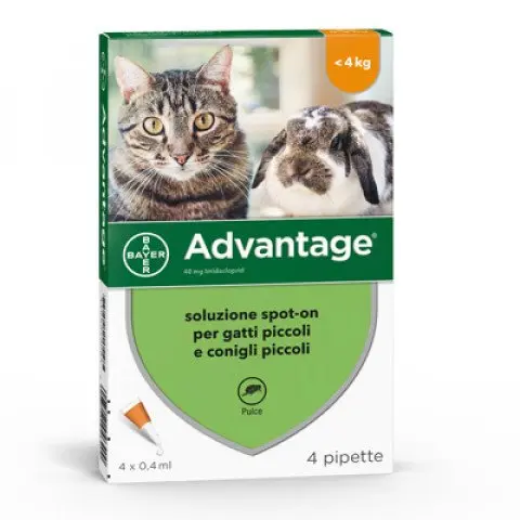 Advantage - Antiparassitario spot-on per gatti e conigli fino 4 kg