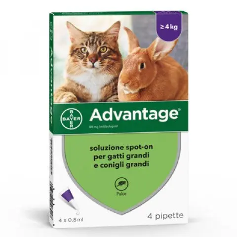 ADVANTAGE SPOT-ON PER GATTI E CONIGLI +4KG