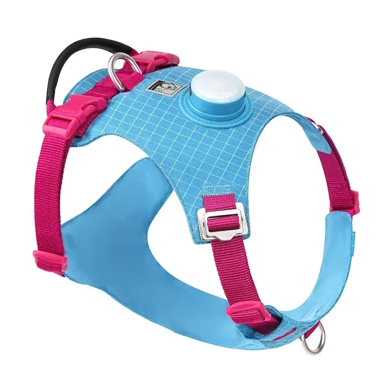 Adventure Harness with LED Light