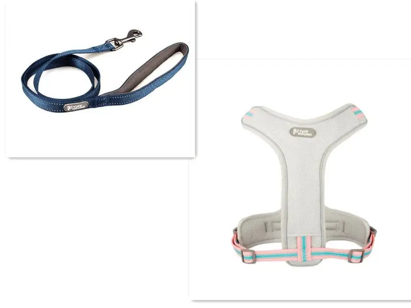 Adventure Paws Dog Harness And Leash Set