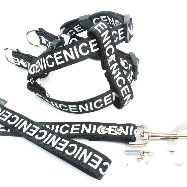 Adventure Paws Nylon Pet Leash And Collar Set