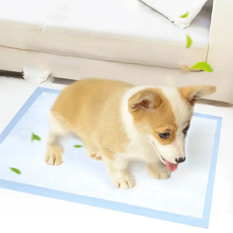 Alèse de propreté pour chien