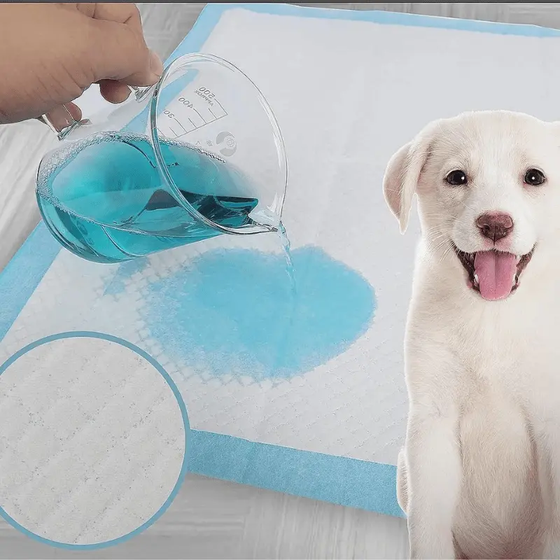 Alèses jetables pour chien