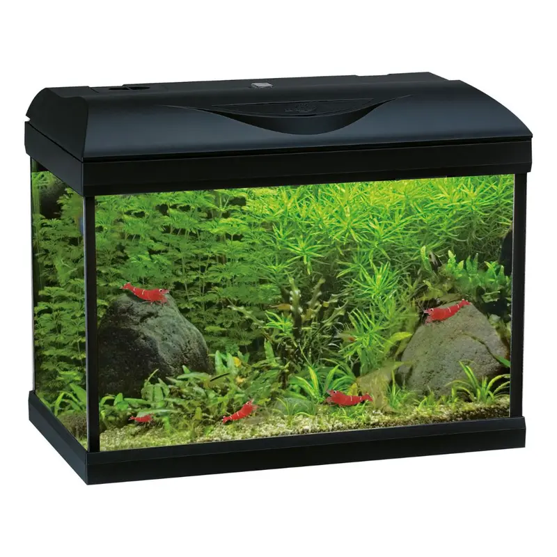 Amtra - Acquario Basic LED