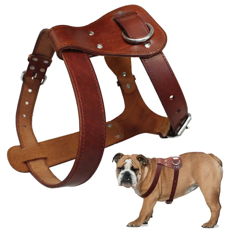 Arnés de cuero Didog | Comodidad, resistencia y estilo ¡Compra ahora!