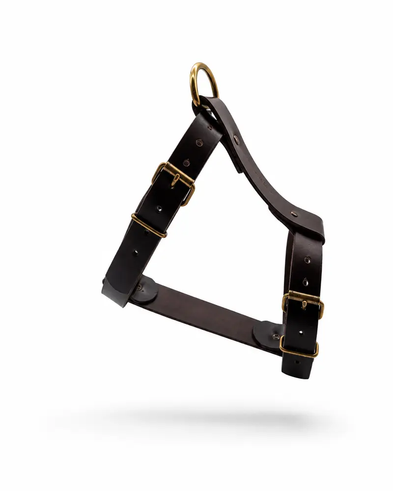 Arnes de cuero para perros Nuvik Atlas
