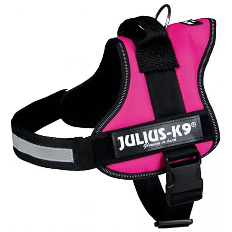 Arnés JULIUS K9 IDC Fucsia para Perros – Ergonómico y Seguro