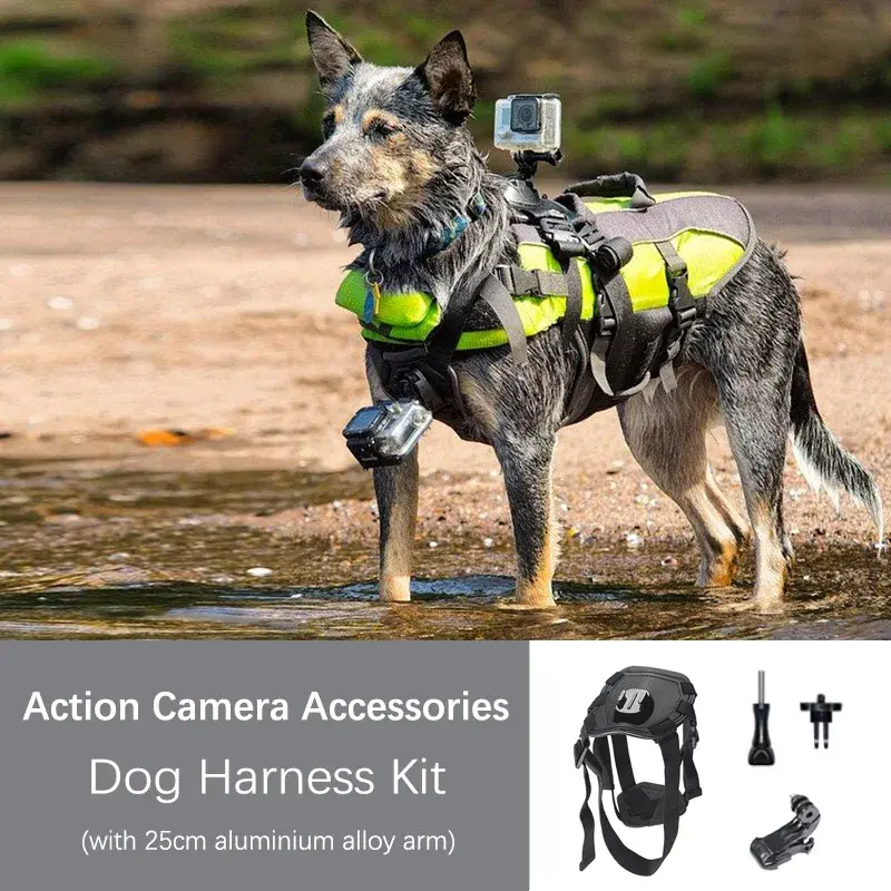 Arnés para Cámara GoPro y Acción para Perros | Mascotalux