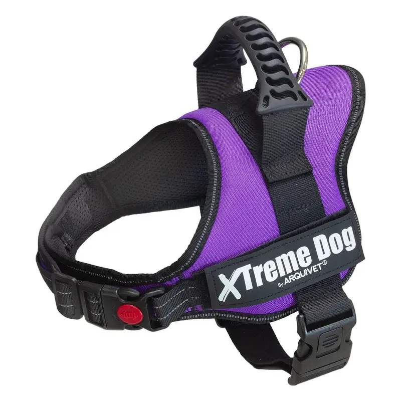 Arnés Xtreme Dog - Lila