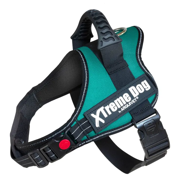 Arnés Xtreme Dog - Verde esmeralda