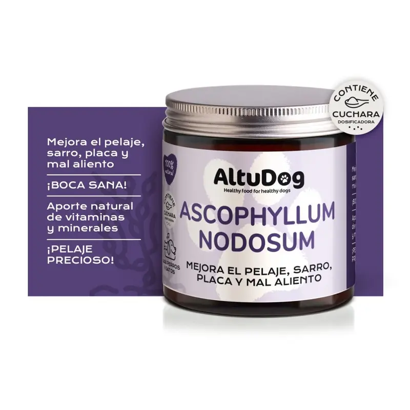 Ascophyllum Nodosum - Limpiador dientes