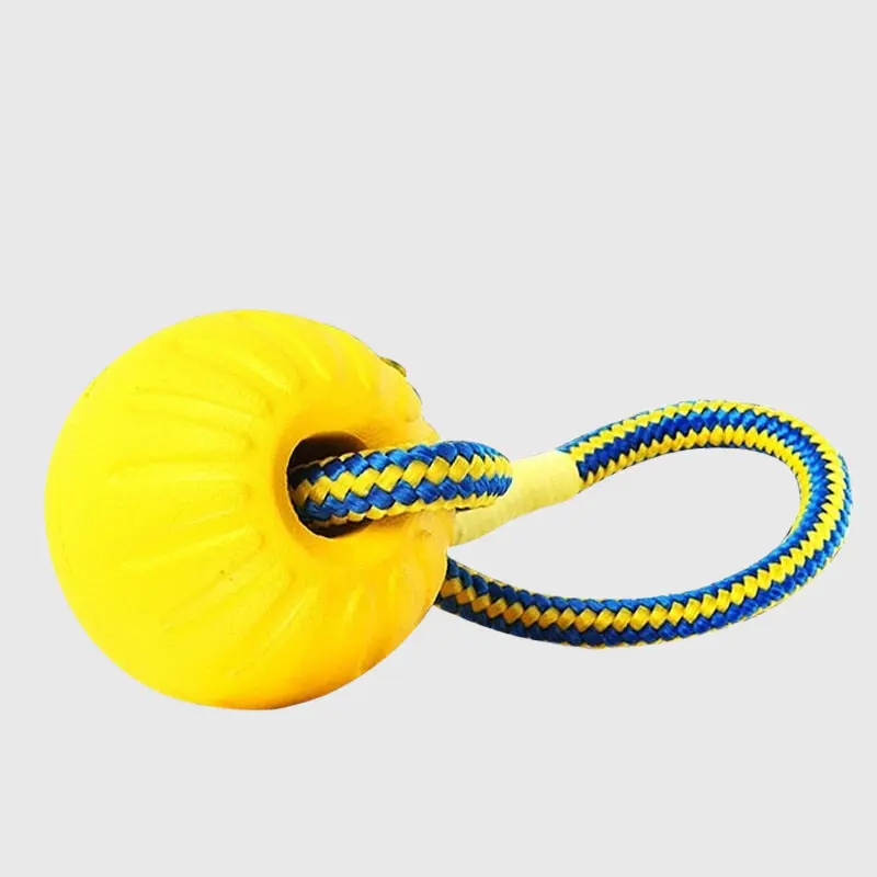 Balle avec corde pour chien