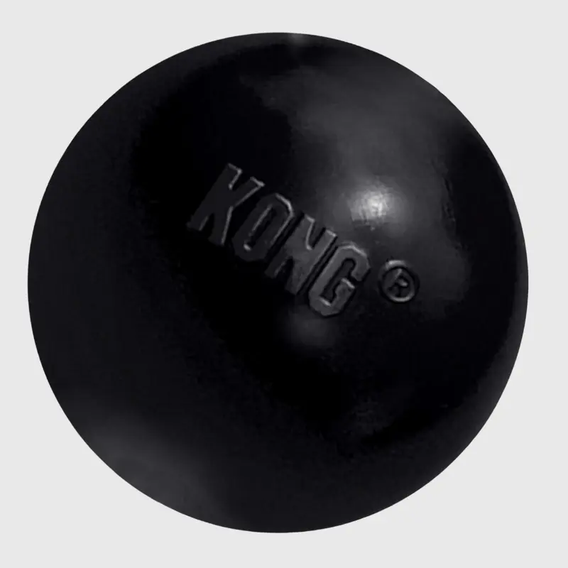 Balle Kong pour chien