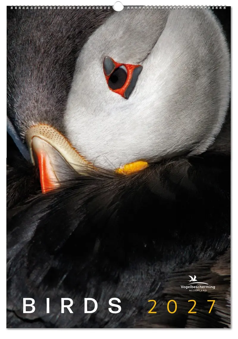 Bekking blitz vogelbescherming maandkalender 2027