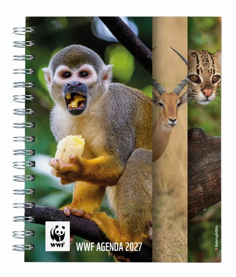 Bekking blitz wwf weekagenda 2027