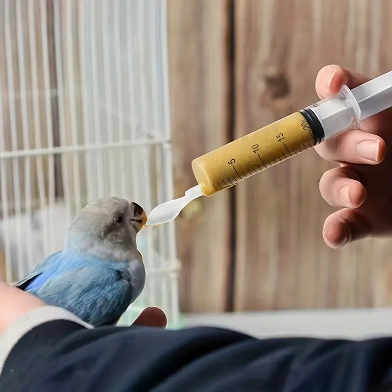 Bird Feeding Syringe Set – 4pcs Parrot Hand Feeding Kit