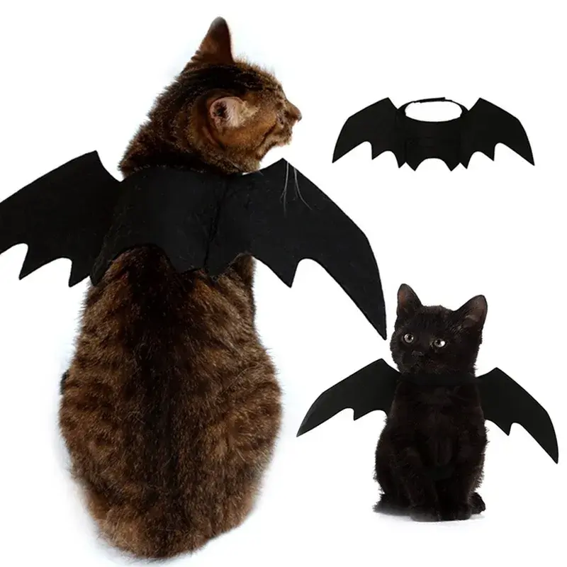 Black Bat