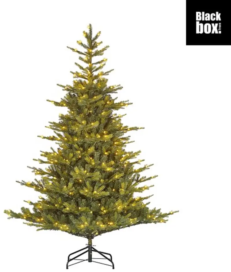 Black box grimshaw x-mas tree led green 440l tips 2716 with timer dimmer - h230xd162cm