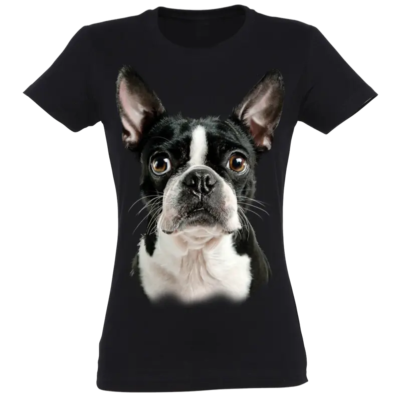 Boston T-Shirt Women