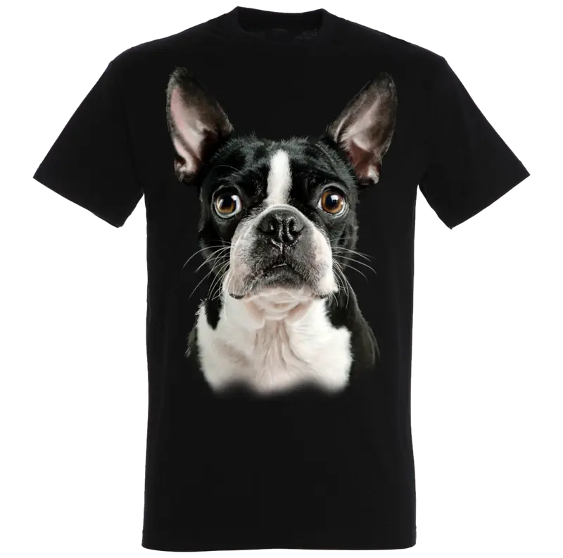 Boston T-Shirt
