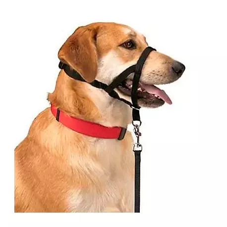 Bozal entrenamiento DOG CONTROL