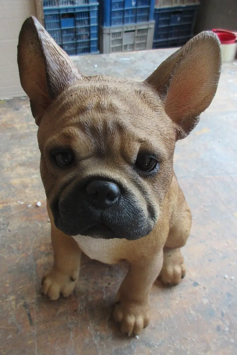 BULLDOG FRANCESE 25X19XH29,5CM