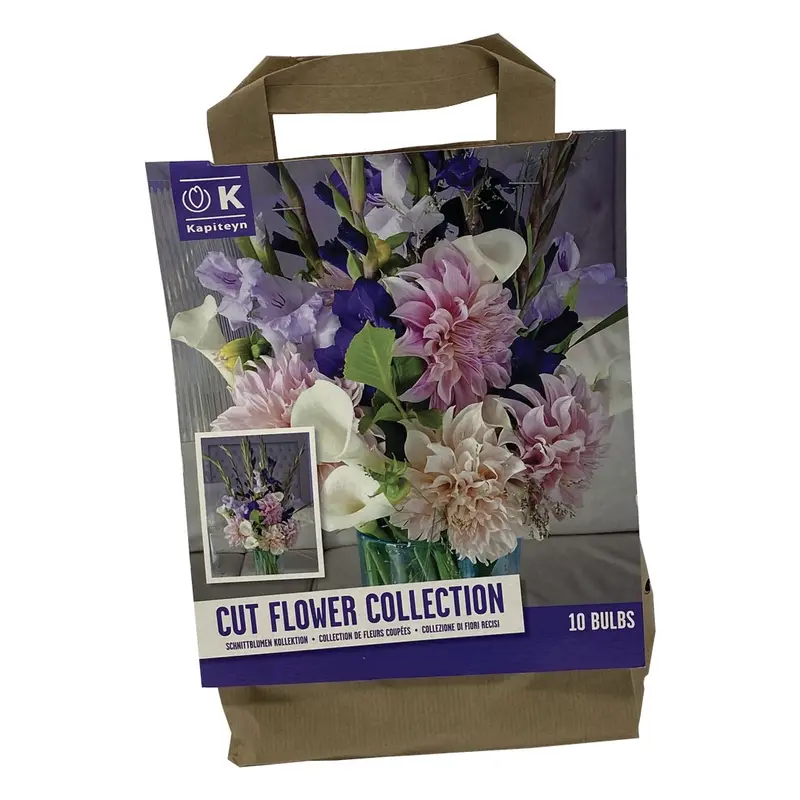 BUSTA BULBI FIORI DA RECIDERE