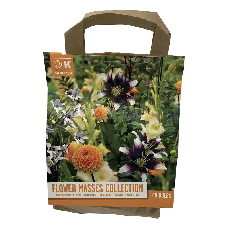 BUSTA BULBI MASSA DI FIORI